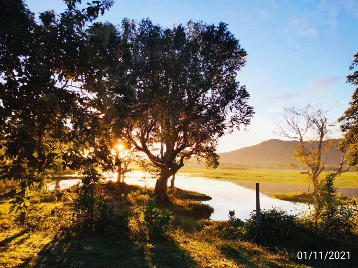 Lake Front Yala Safari Kataragama Eksteriør billede