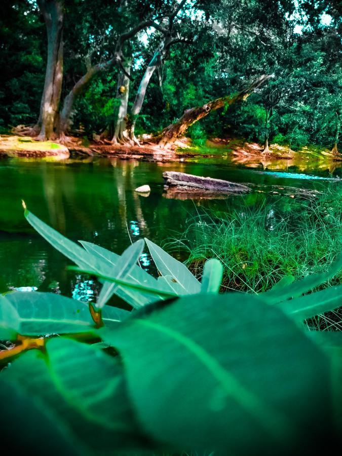 Lake Front Yala Safari Kataragama Eksteriør billede