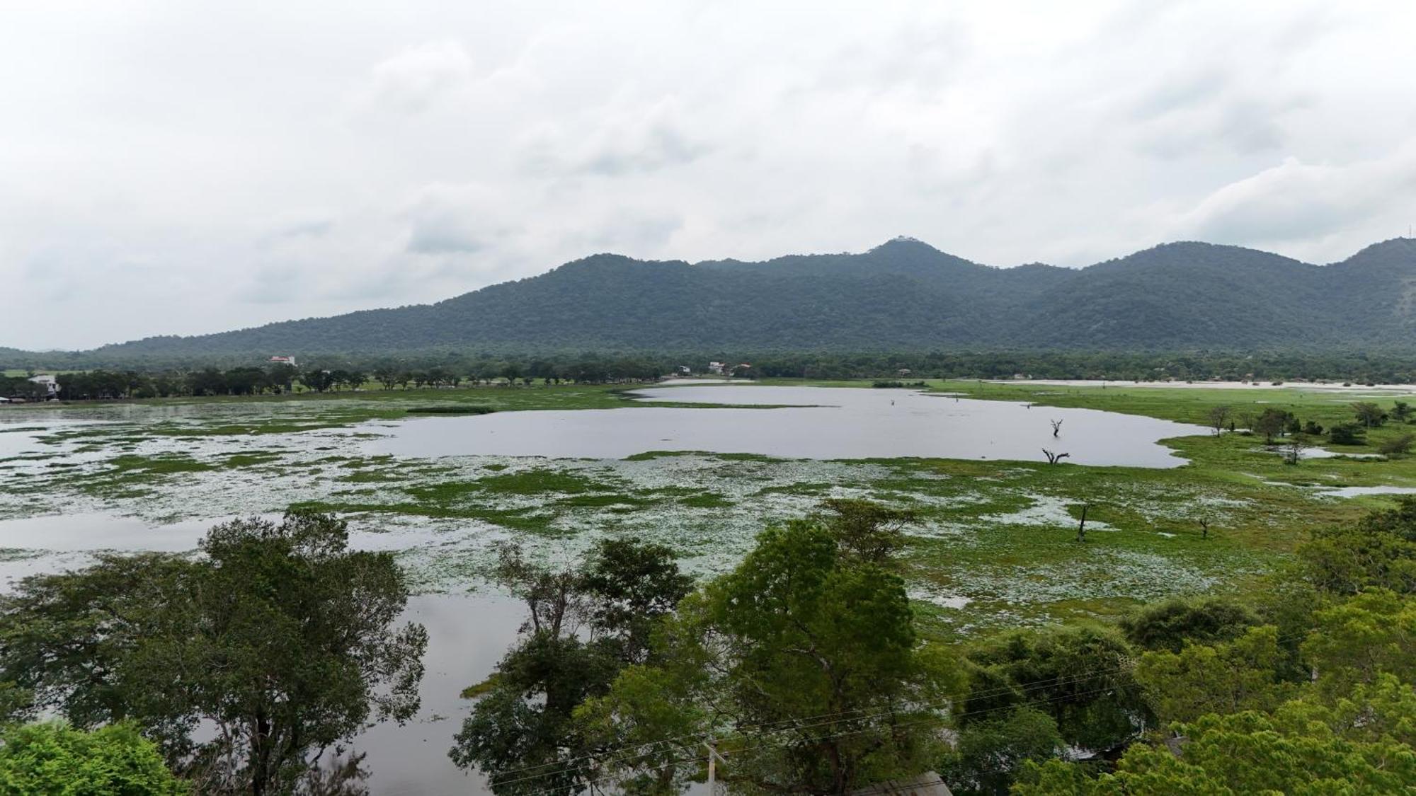 Lake Front Yala Safari Kataragama Eksteriør billede