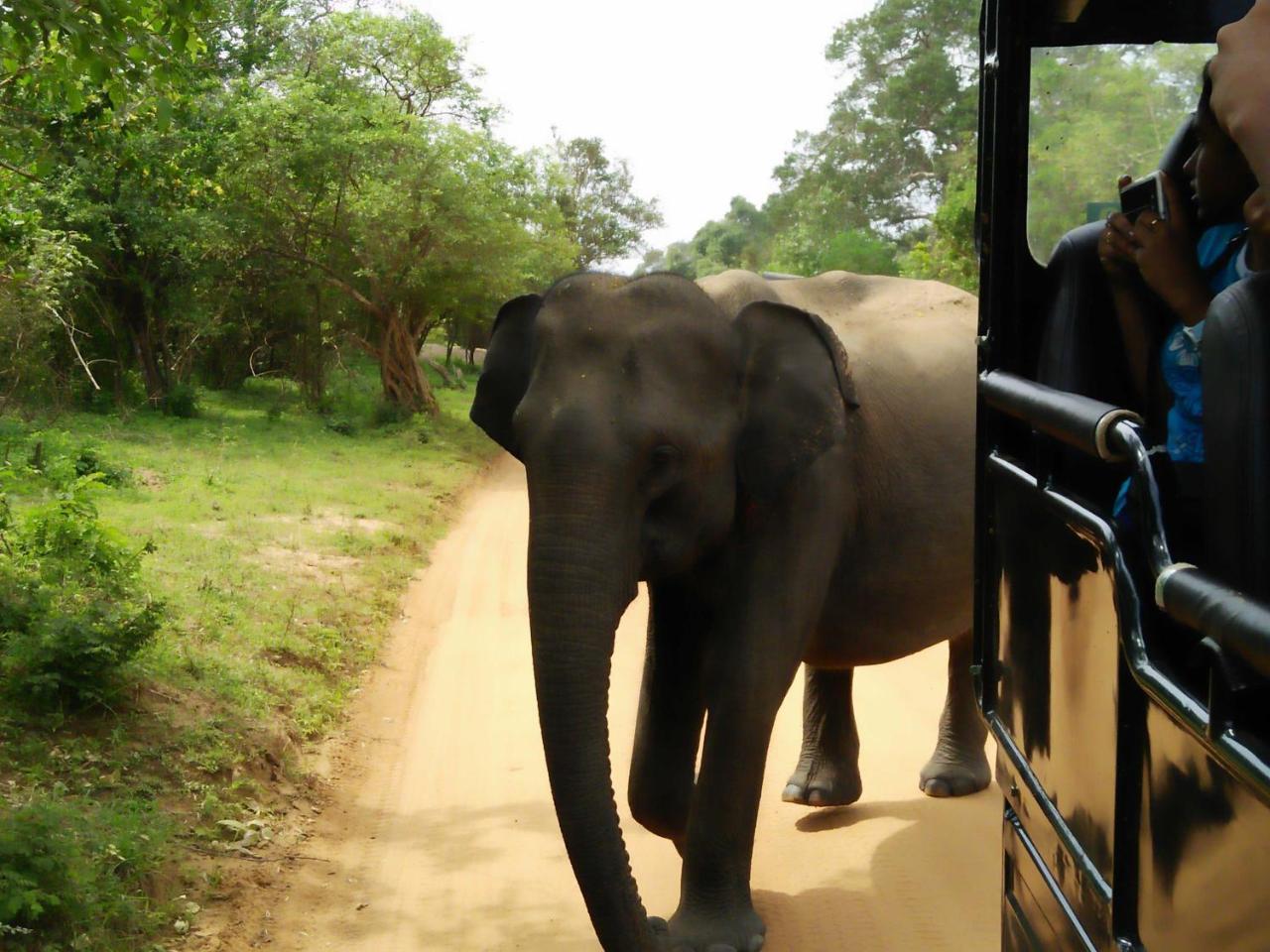 Lake Front Yala Safari Kataragama Eksteriør billede